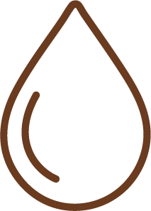Purified Water