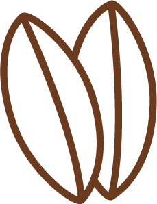 Wheat Flour